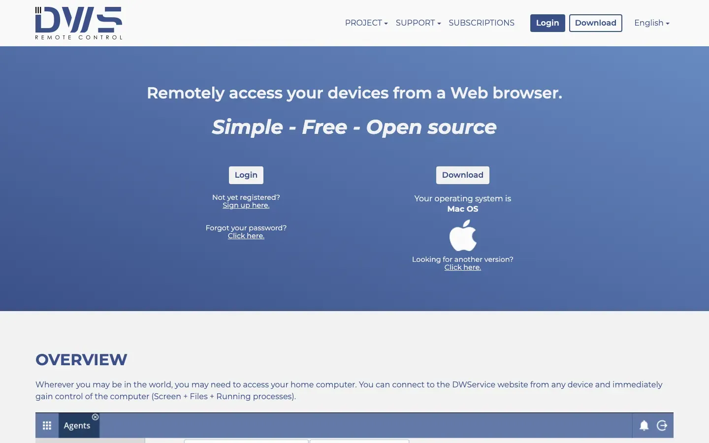 Homepage of DWService