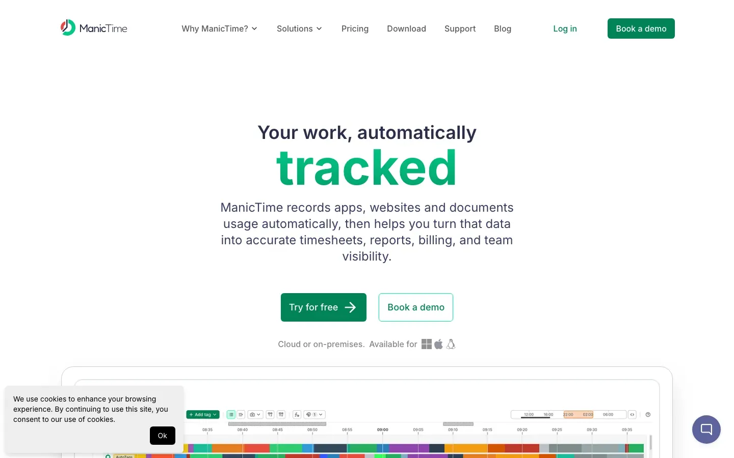 Homepage of ManicTime