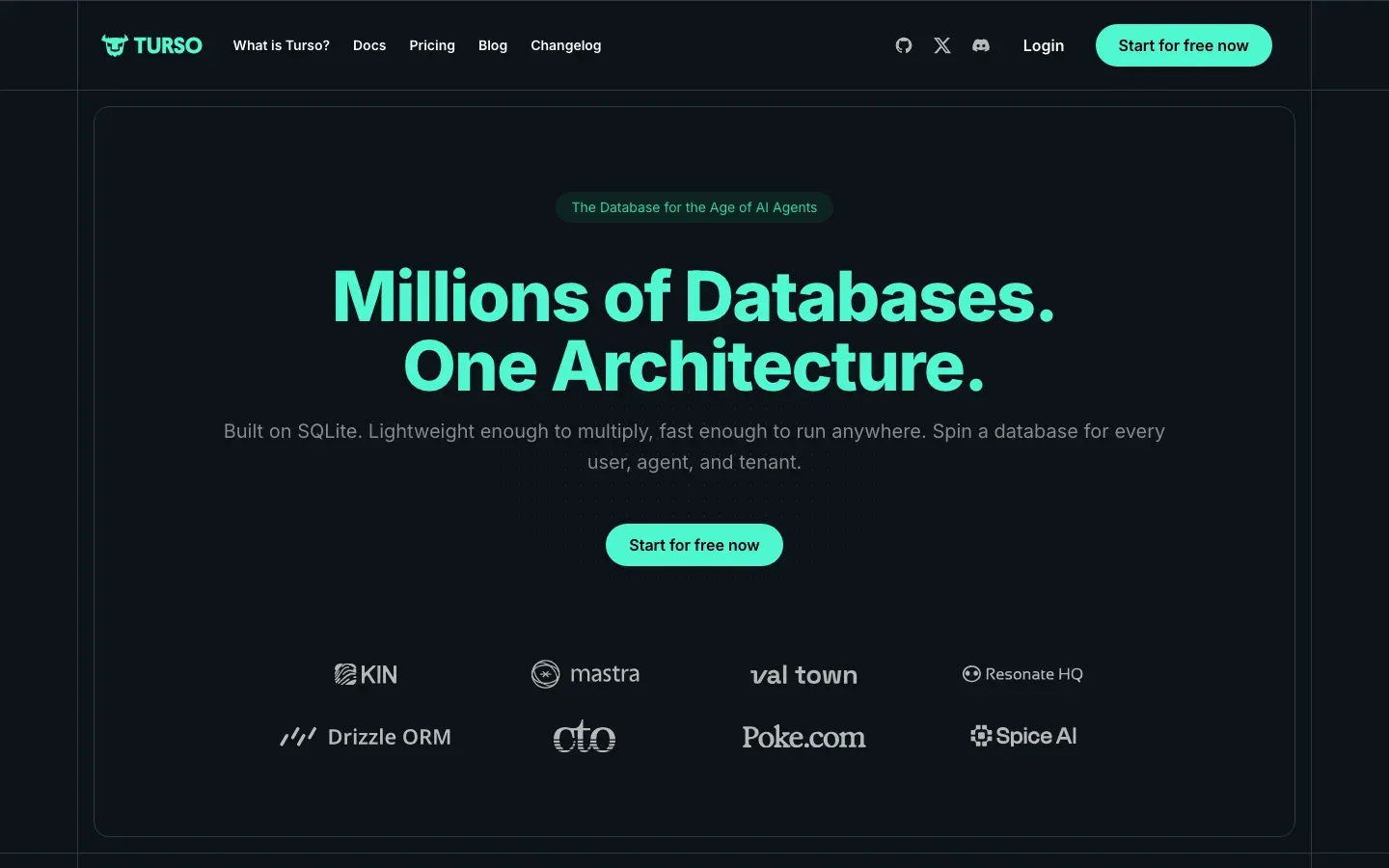 Homepage of Turso