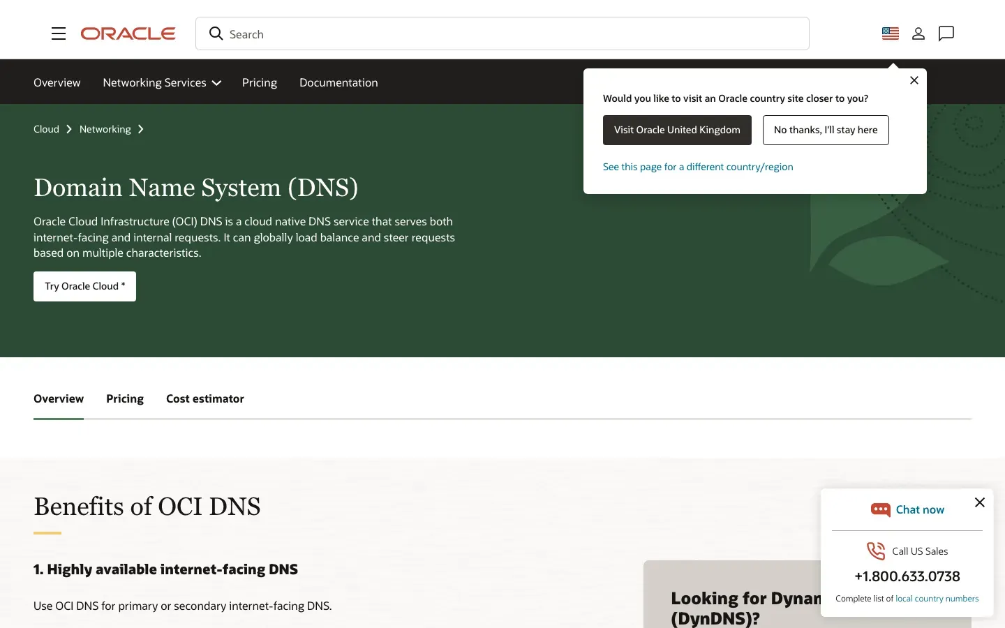 Homepage of Oracle Cloud Infrastructure (OCI) DNS